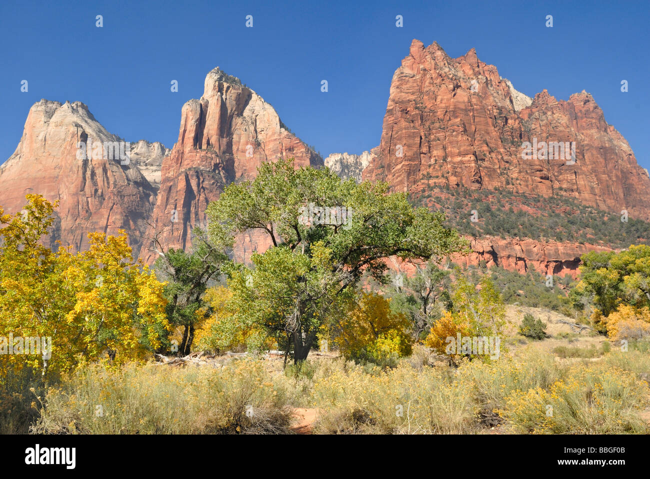 The Patriarchs, left to right: Abraham Peak, Peak Isaac, Jacob Peak, Zion National Park, Utah, USA Stock Photo