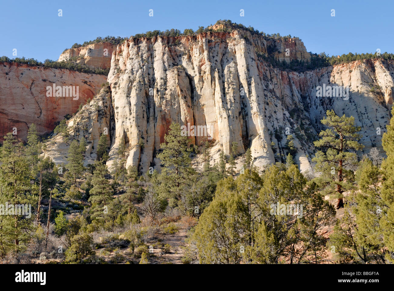 Rock face at Zion Mount Caramel Highway, Zion National Park, Utah, USA Stock Photo