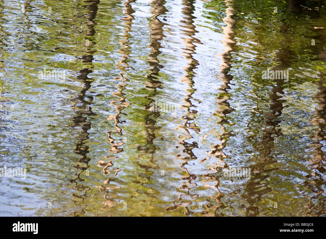 reflections of trees in a river, Sweden Stock Photo