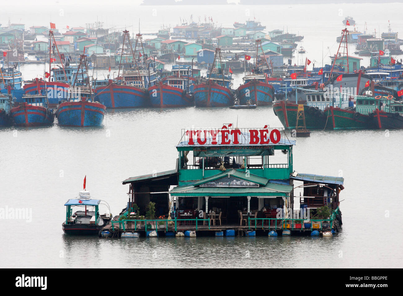 Vietnamese floating restaurant and fishing boats moored in "Cat Ba