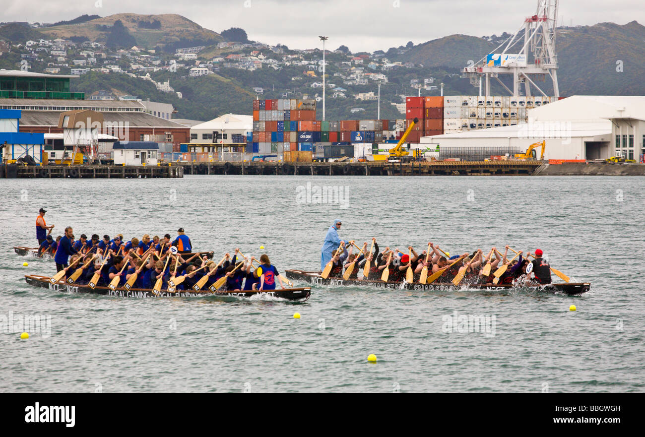 2009 Annual Dragon Boat Races Wellington North Island New Zealand BBGWGH 