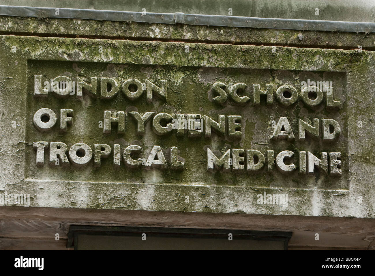 Tropical medicine research institutions hires stock photography and