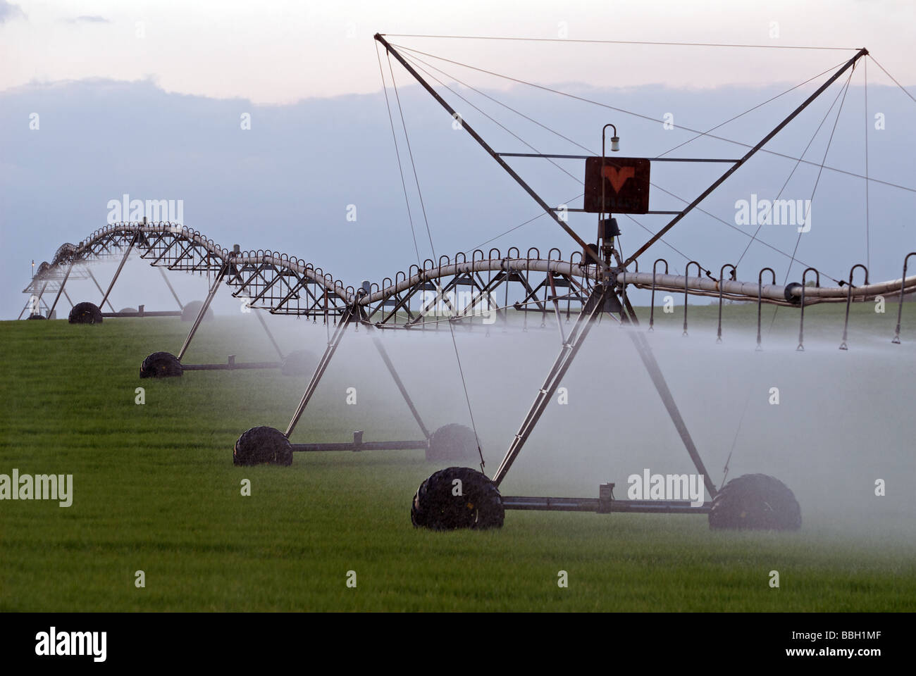 Center pivot precision spray irrigation system watering a wheat crop