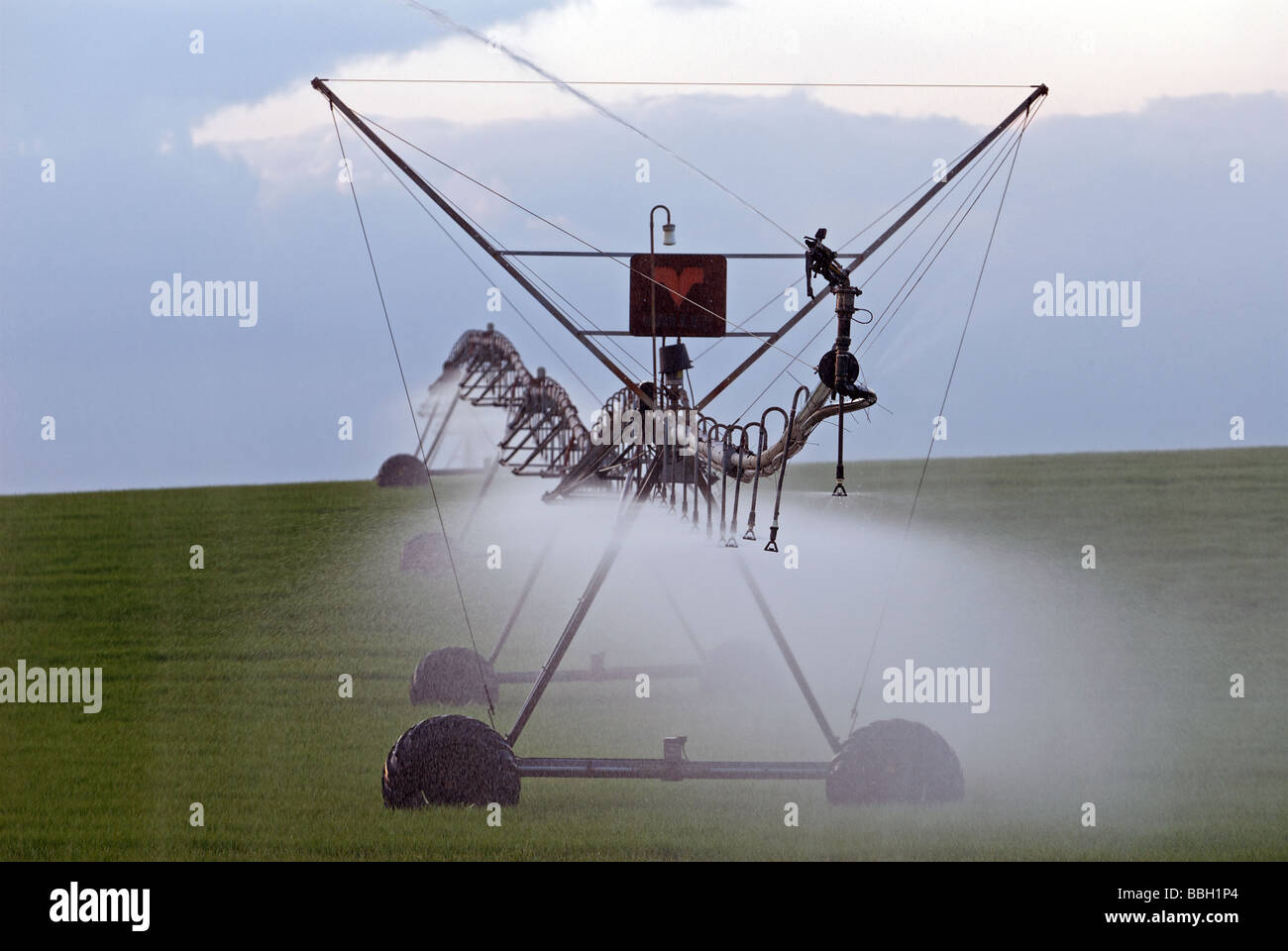 Center pivot precision spray irrigation system watering a wheat crop