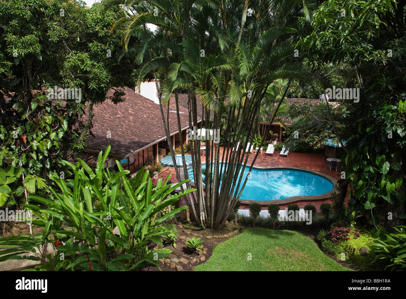 Costa Rica San Jose tropical garden and swimming pool San gildar hotel