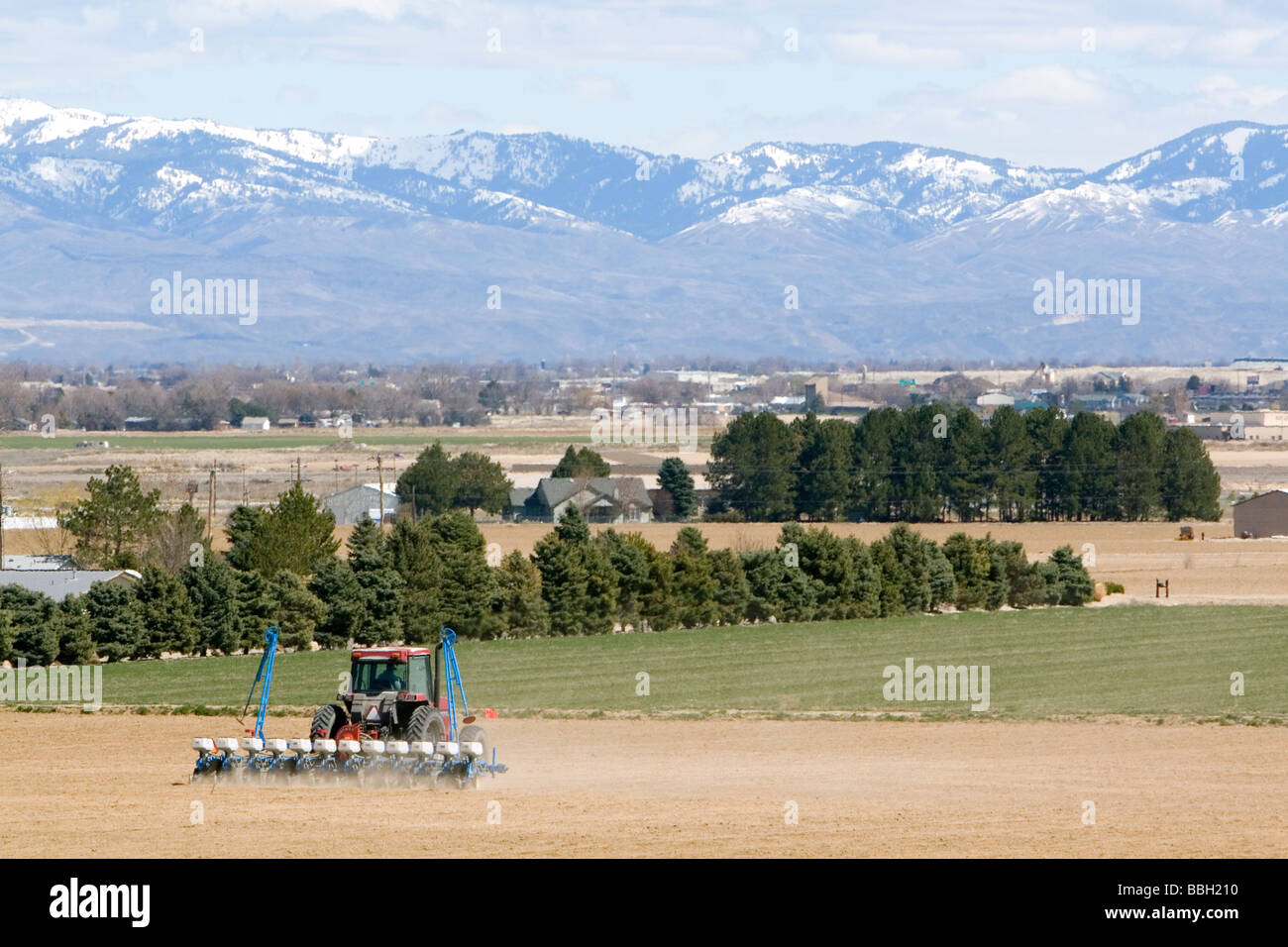 Farmer planting corn crop in Canyon County Idaho USA  Stock Photo