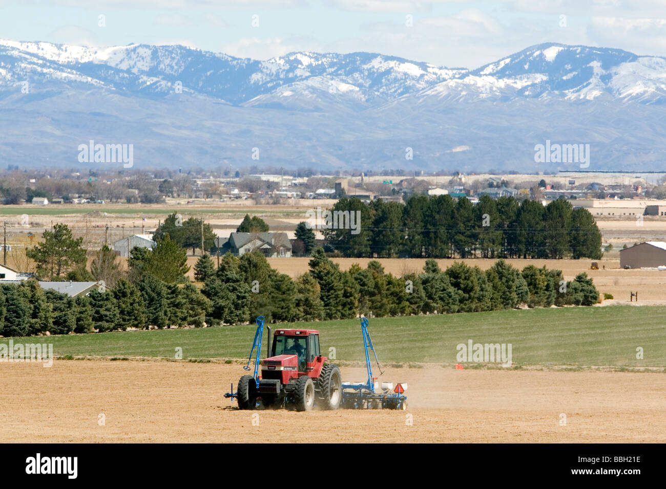 Farmer planting corn crop in Canyon County Idaho USA Stock Photo