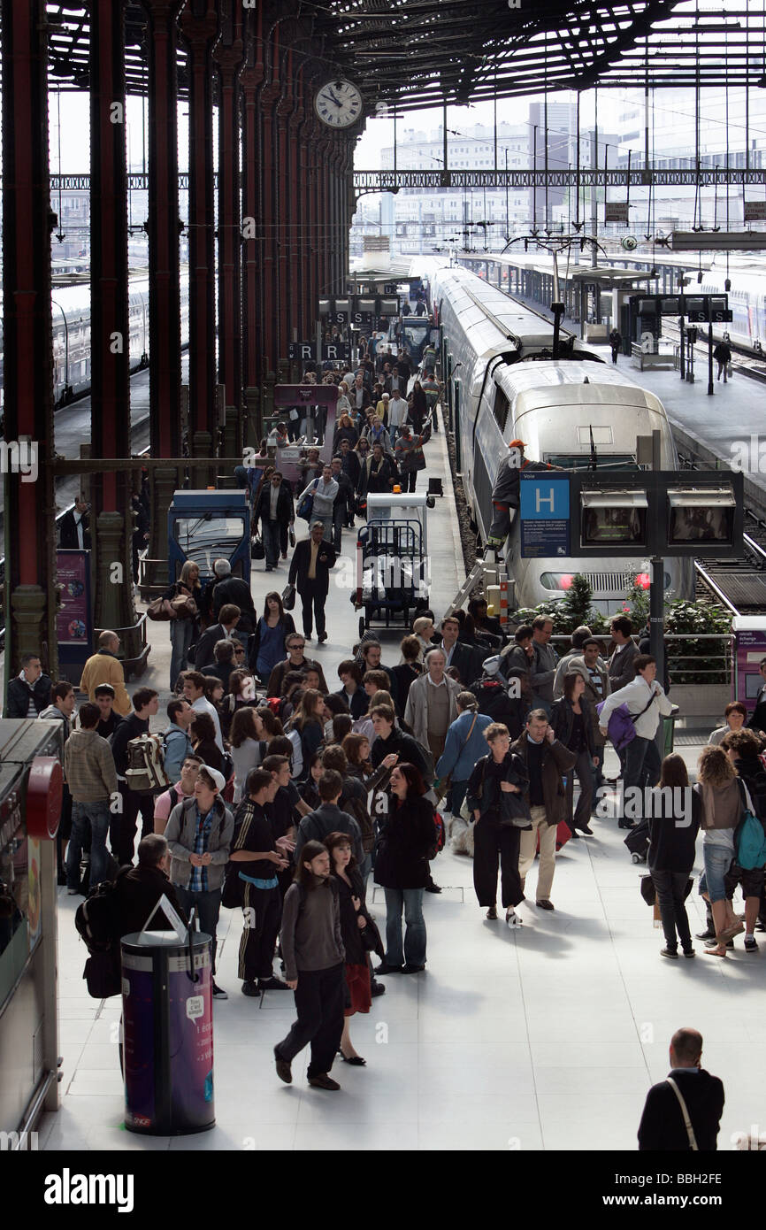 TGV, Gare de Lyon, Paris Stock Photo Alamy