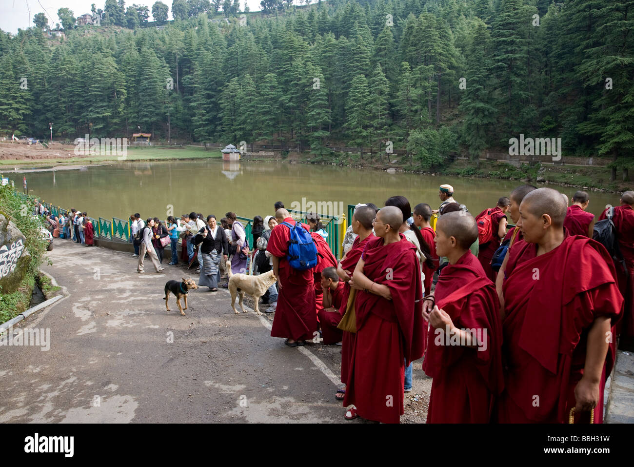 Tibetan refugees waiting for the Dalai Lama. Dal Lake. McLeod Ganj.  Dharamsala. Himachal Pradesh. India Stock Photo - Alamy