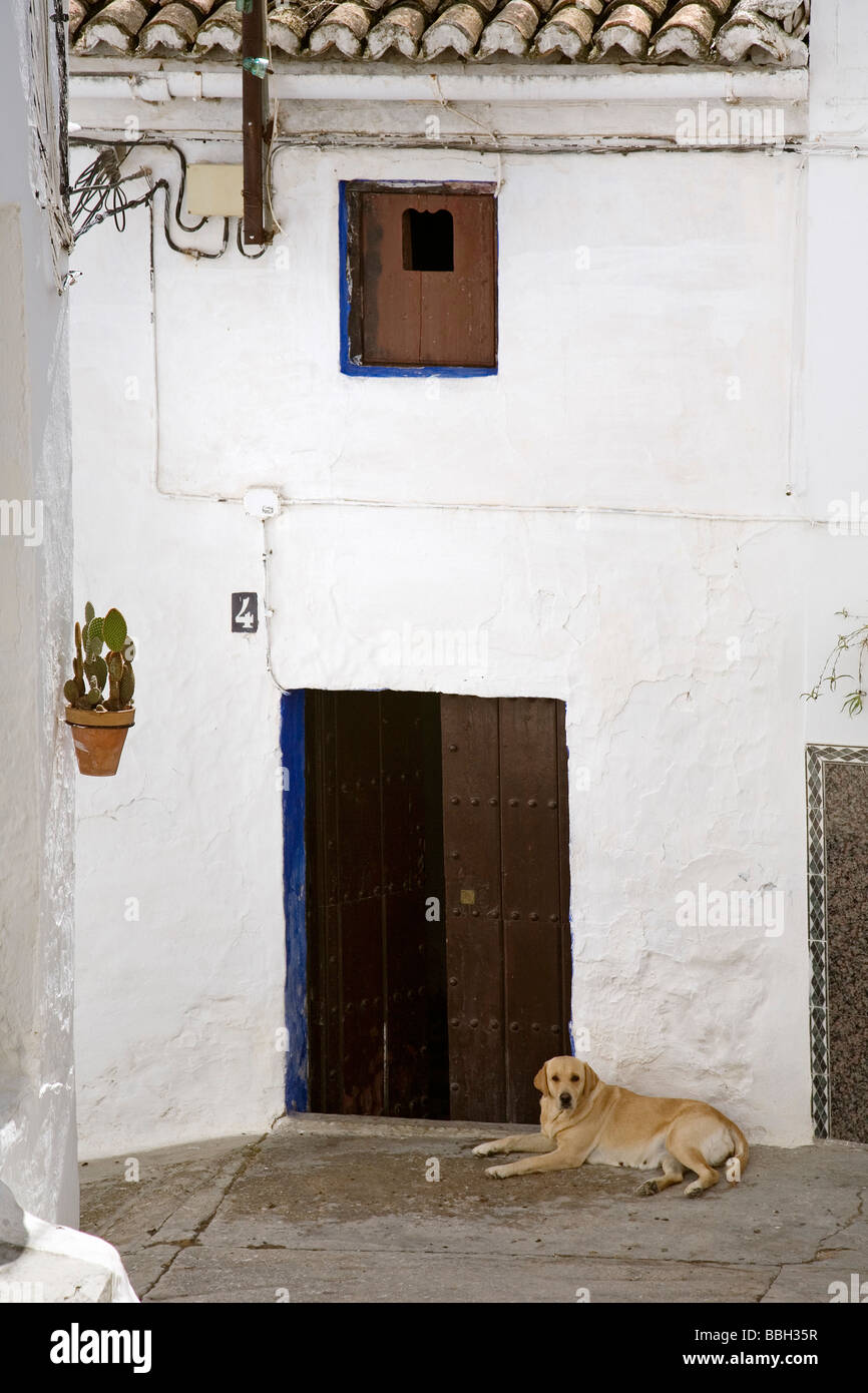 Street and House in Alozaina Sierra de las Nieves Malaga Andalusia Spain Stock Photo