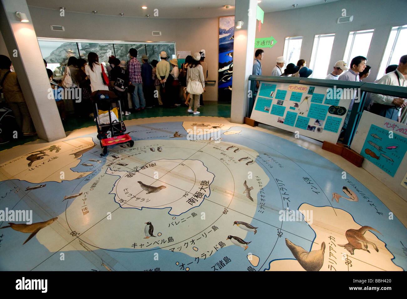 A map of the South Pole shows where many of the animals on display at Japan s most popular zoo come from Stock Photo