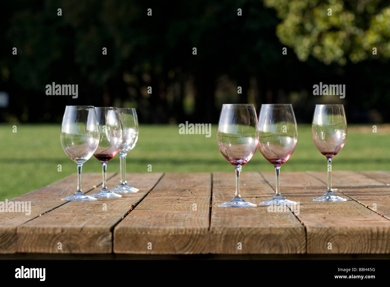 Wine glasses on picnic table Stock Photo Alamy