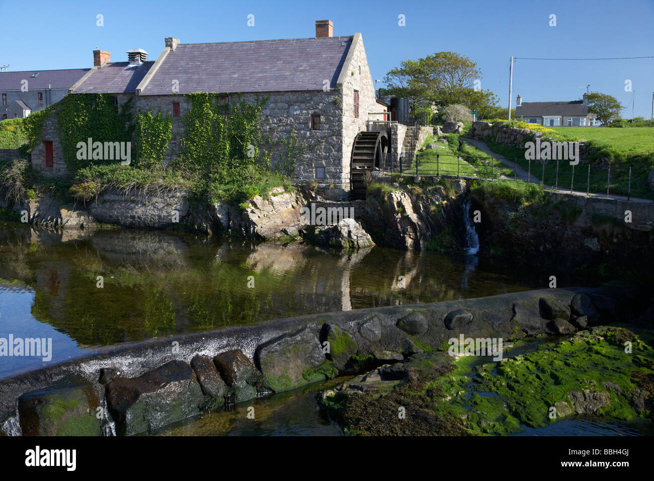 restored annalong corn mill with water wheel county down northern ireland uk Stock Photo Alamy