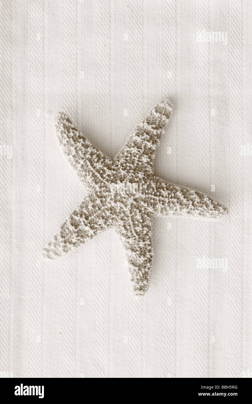 Black and White image of starfish on linen background Stock Photo