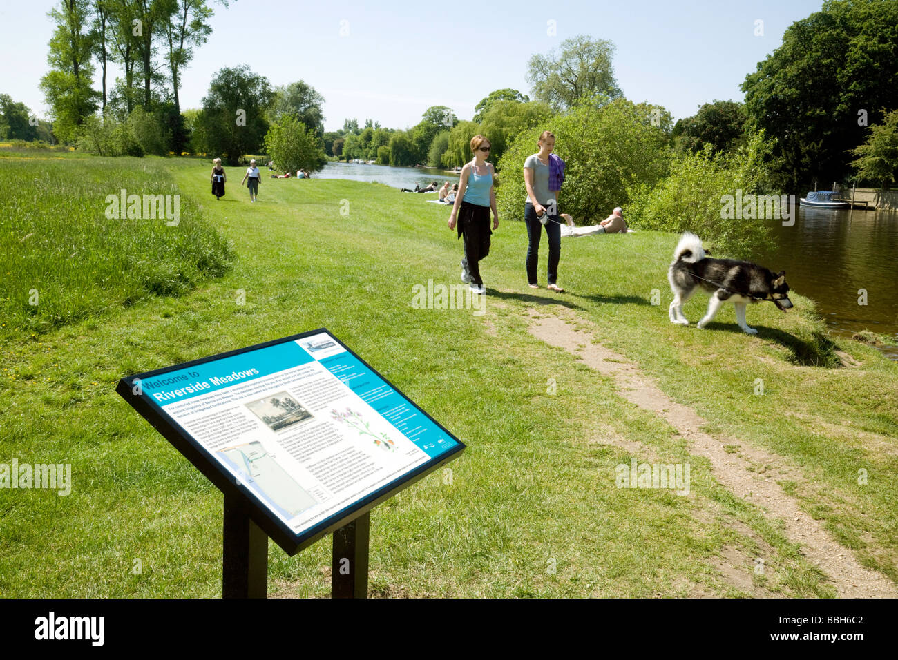 People walking the dog by the river Thames on the towpath, Wallingford, Oxfordshire, UK Stock Photo