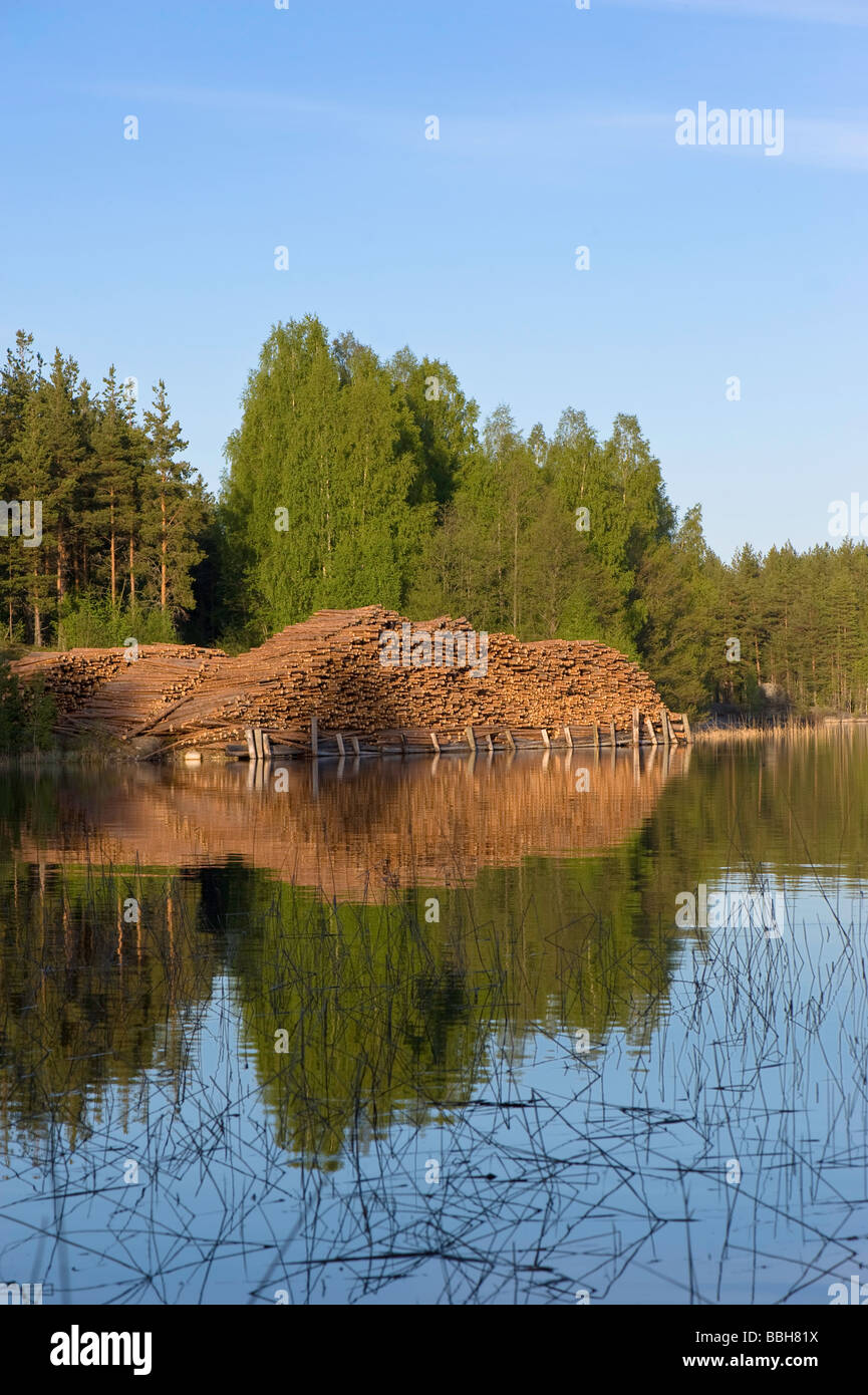 Pile of logs by the lake Lakeland Karelia Finland Stock Photo
