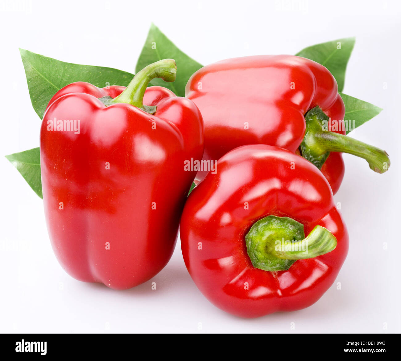 Paprika is on a white background Stock Photo