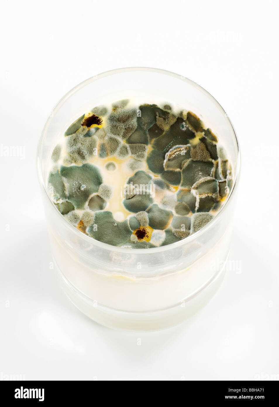 Toxic mold hires stock photography and images Alamy