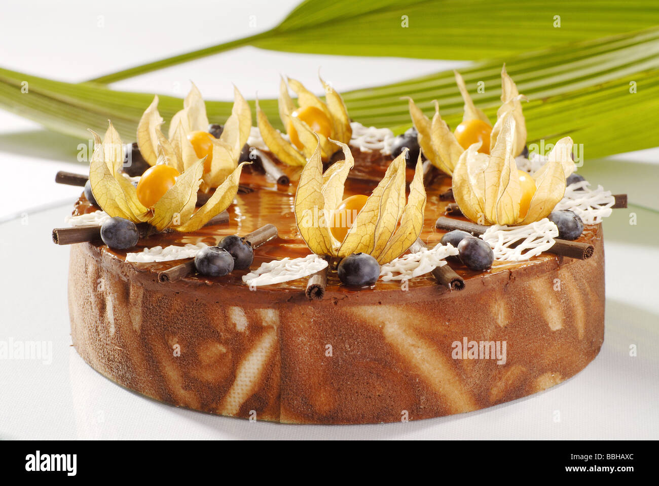 Chocolate Cream Cake Topped with  Physalis Stock Photo