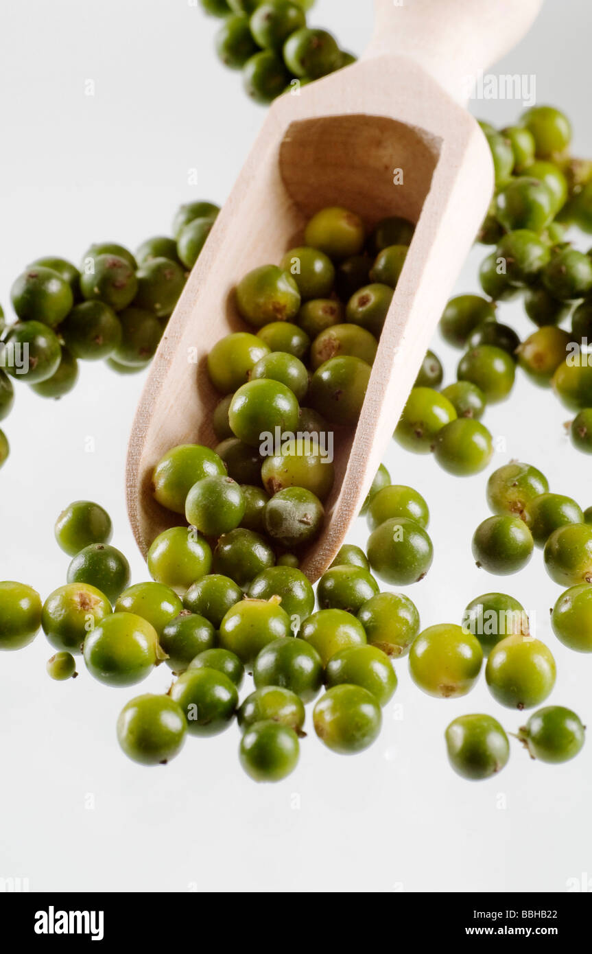 Green pepper berries Stock Photo