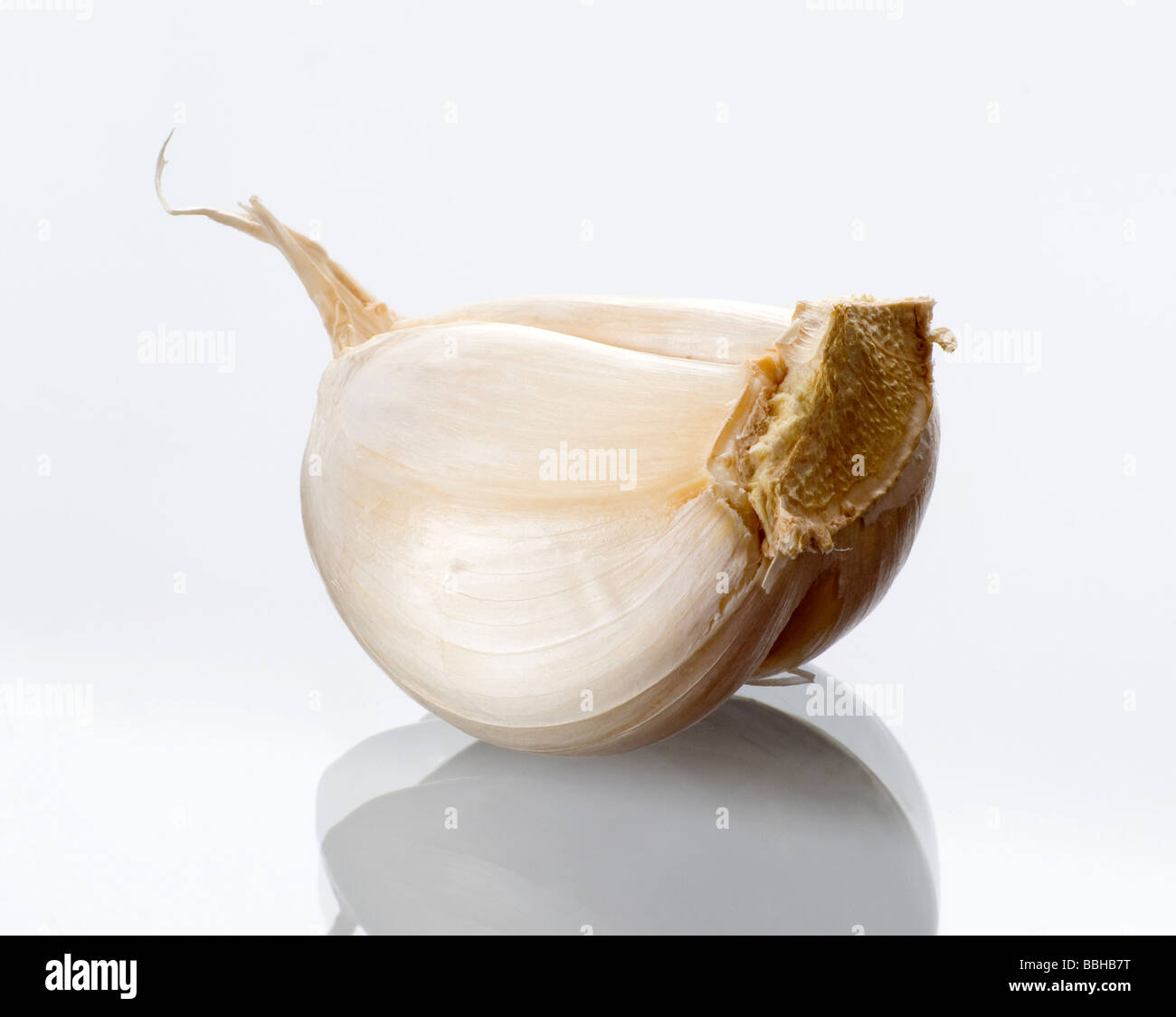 Garlic clove Stock Photo Alamy