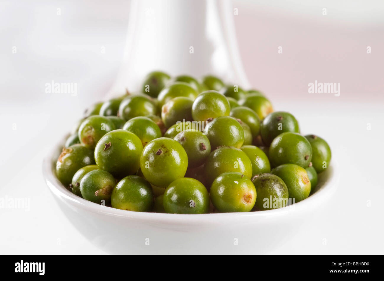 Green pepper berries Stock Photo