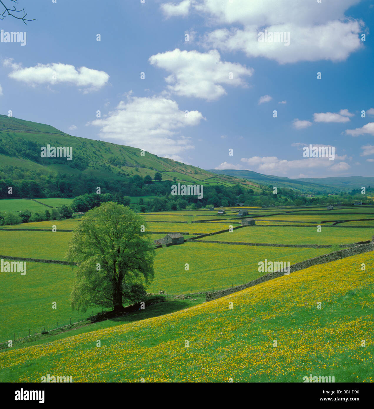 Dale In Geography Dales geography hi-res stock photography and images - Alamy