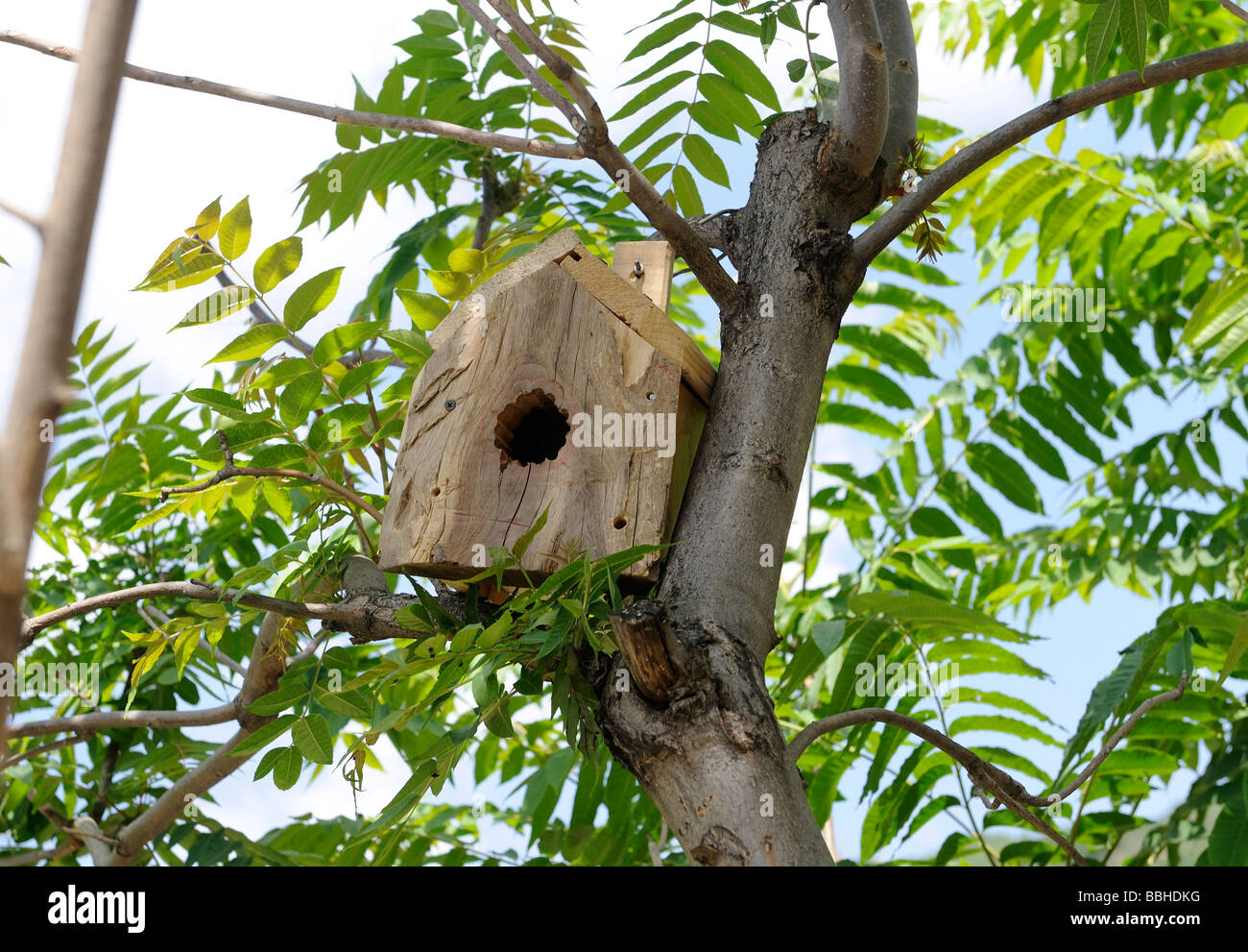 birdhouse Stock Photo