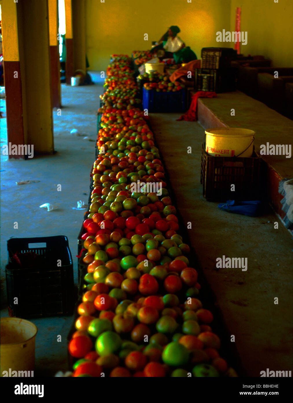 Tugela Ferry KwaZulu Natal South Africa n2000 nvegetables woman selling