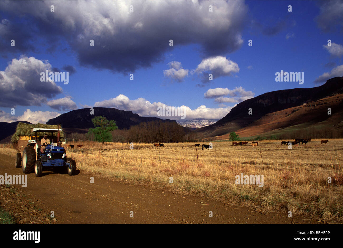 A tractor makes its way along a farm road between Ugie and Maclear