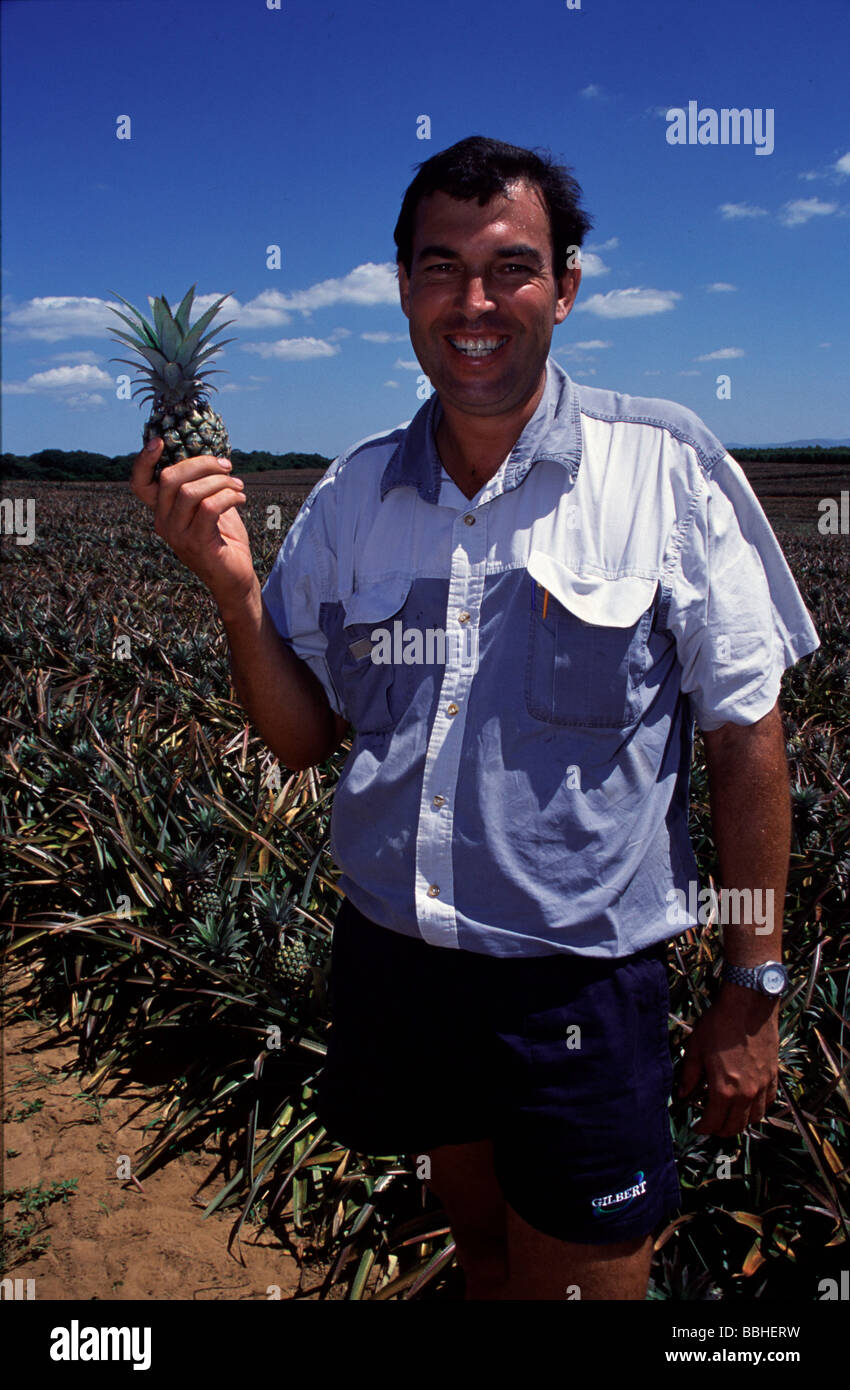 South Africa s most successful pineapple farms all fall within an area