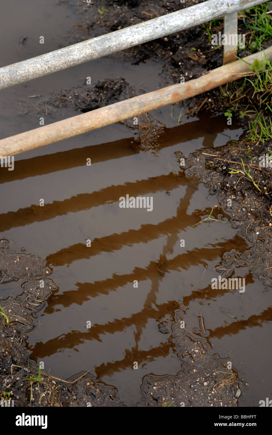 Muddy field, UK Stock Photo Alamy