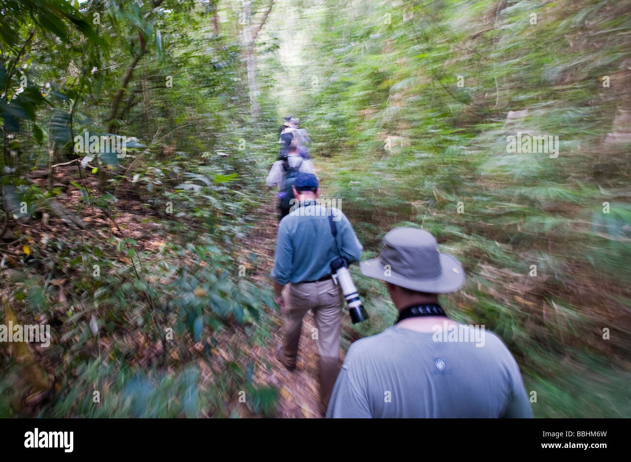 Birding a forest trail on Palawan in Philippines Stock Photo
