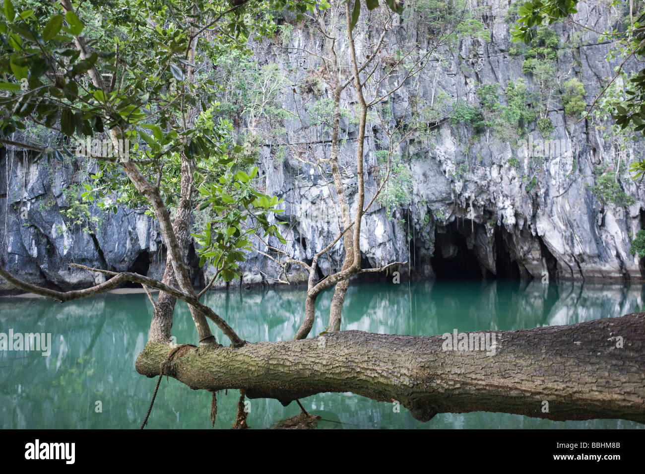 Entrance to the Puerto Princesa Subterranean River National Park on Palawan Philippines Stock Photo