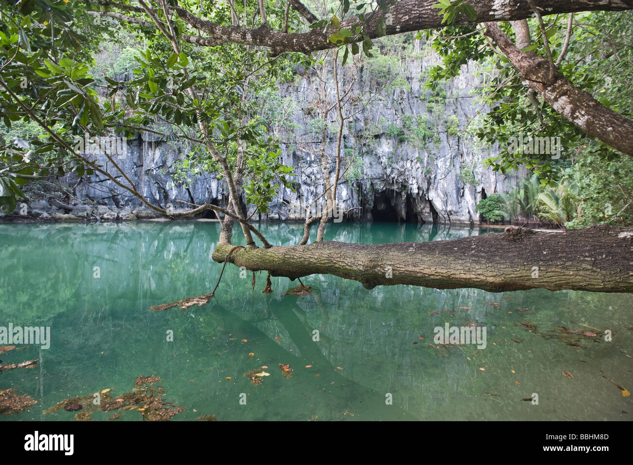 Entrance to the cave at Puerto Princesa Subterranean River National Park on Palawan Philippines Stock Photo