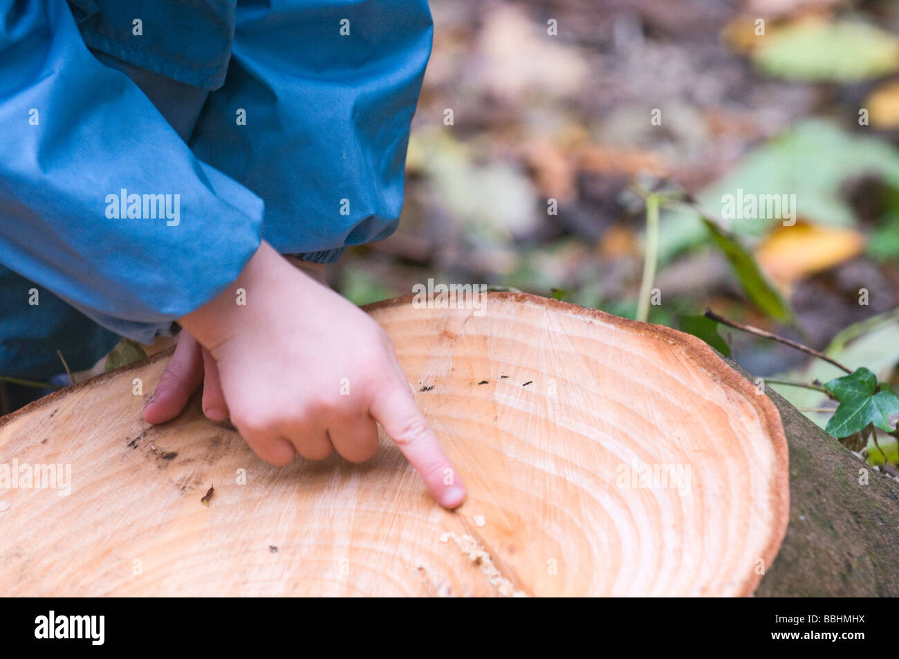 Analyzing Tree Rings to Determine Climate Change - ppt download