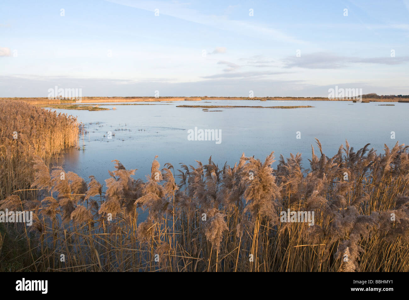 Lagoon on Titchwell RSPB Reserve frozen over in winter Norfolk Stock Photo