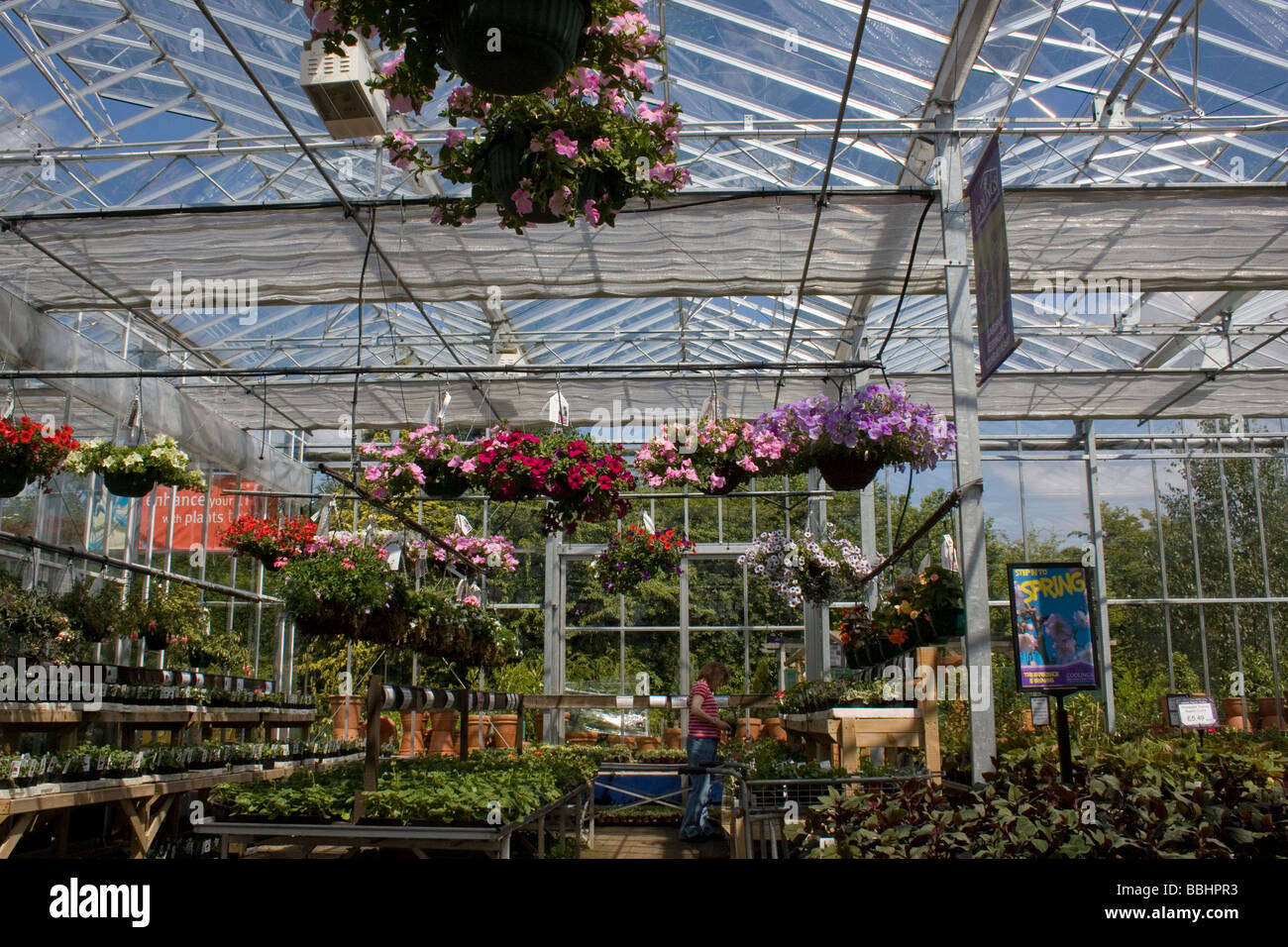 Garden centre plants hi-res stock photography and images - Alamy