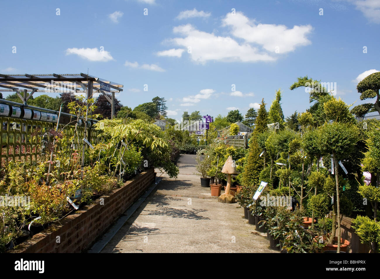 Garden centre hi-res stock photography and images - Alamy