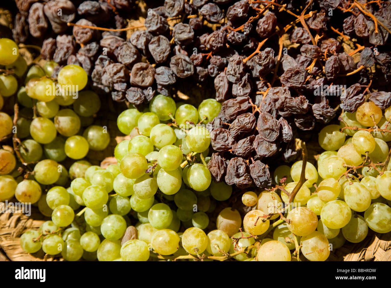 grapes raisin contrast wine sun fruit Andalusia moscatel vintage harvest sweet wine Stock Photo
