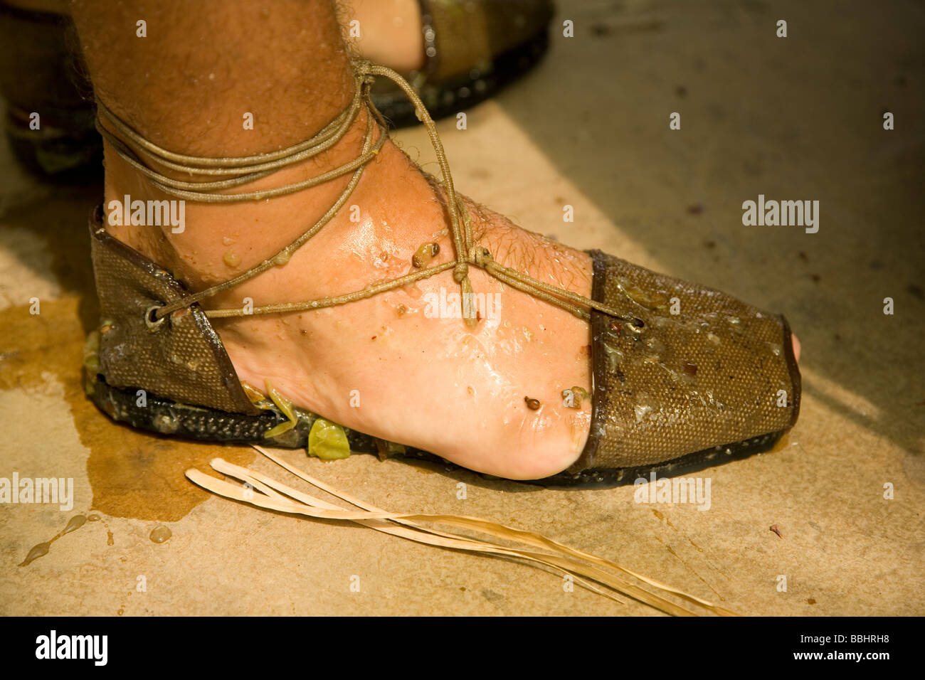 foot with espadrille in grape harvest making wine Stock Photo