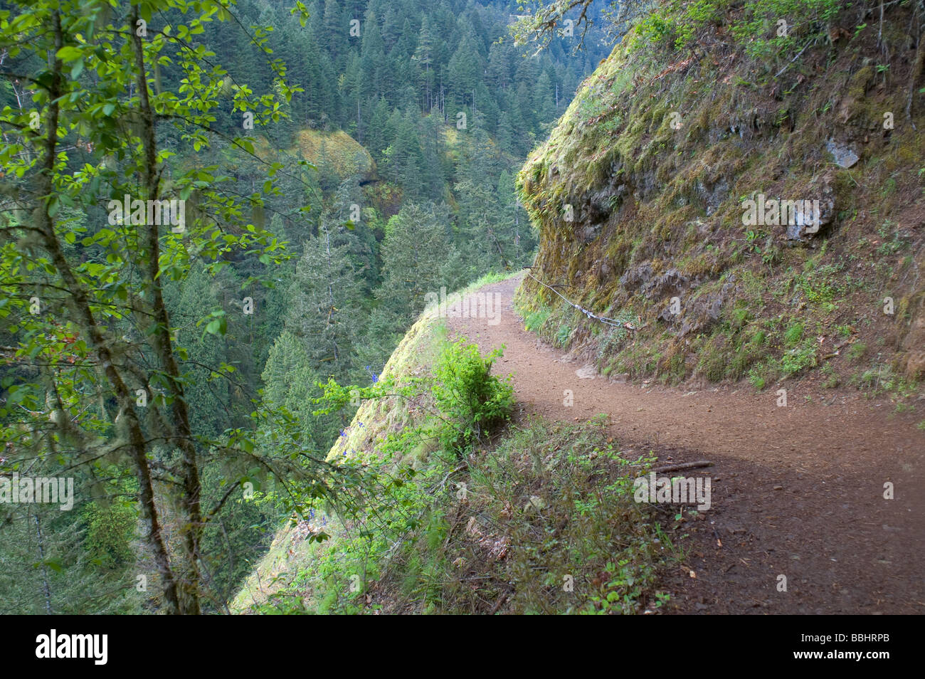 Punch Bowl Falls Eagle Creek Oregon Columbia United States North