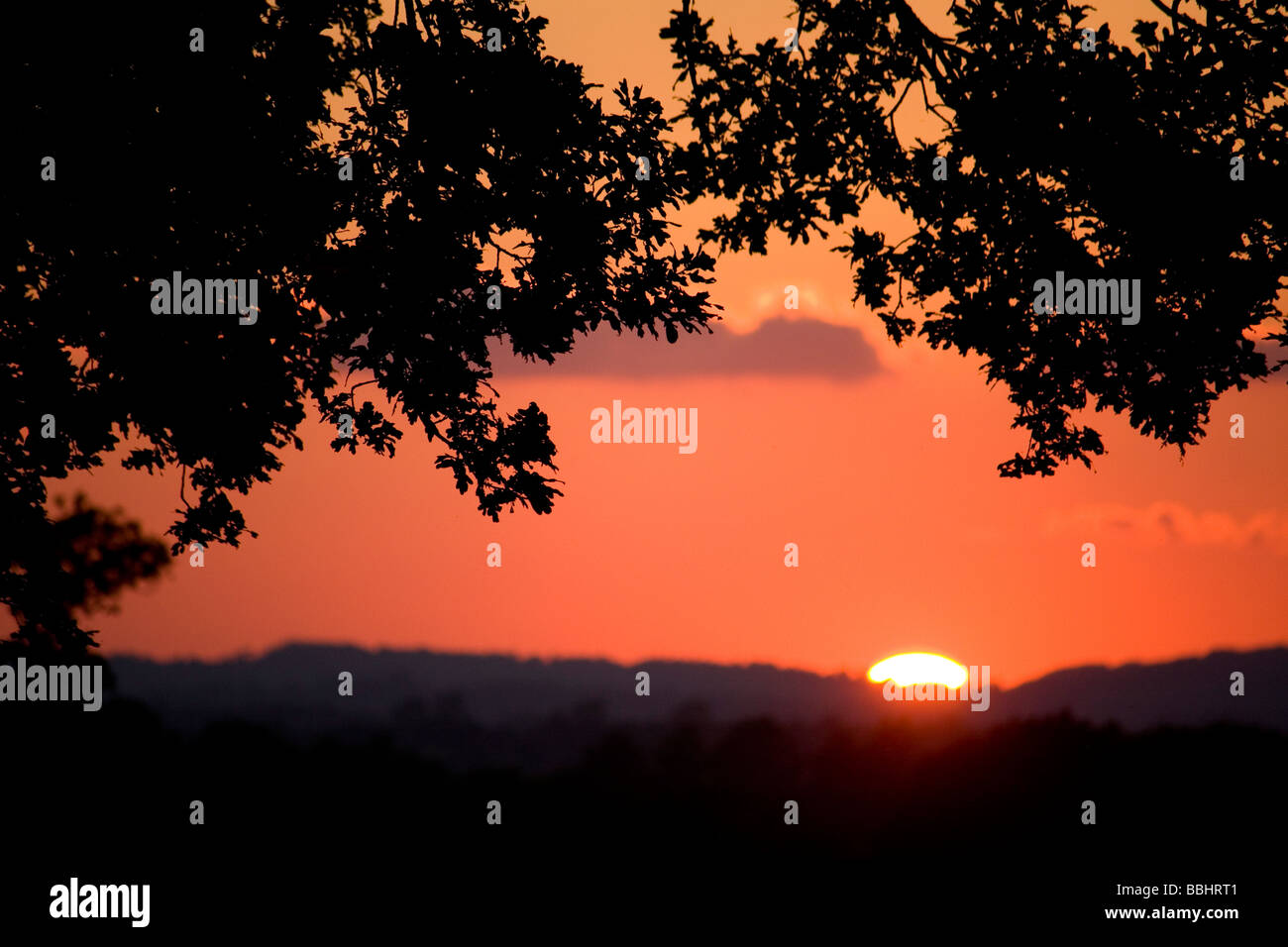 glorious deep red orange sunset, Kent, England Stock Photo