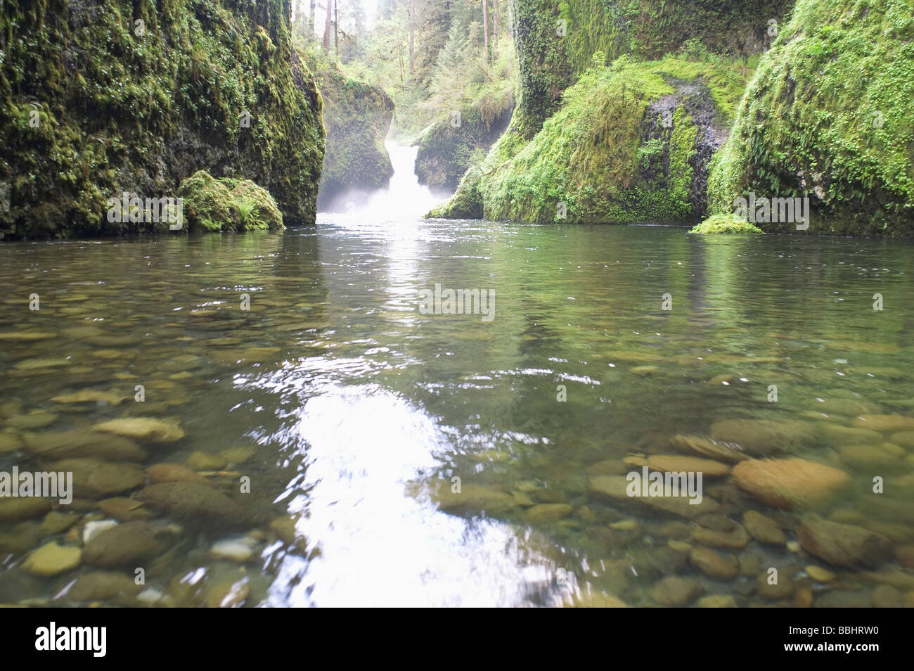 Punch Bowl Falls Eagle Creek Oregon Columbia Stock Photo Alamy