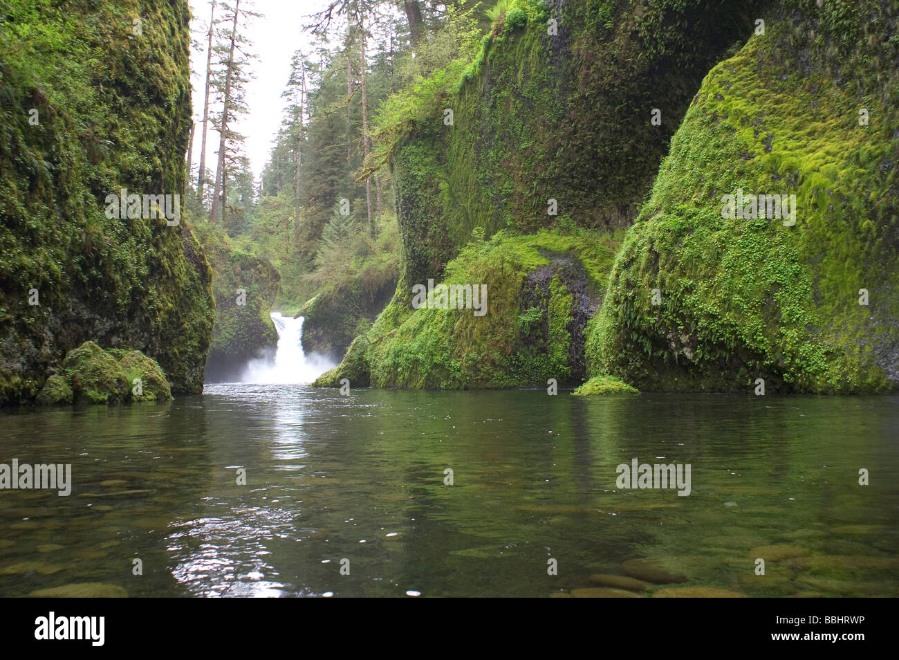 Punch Bowl Falls Eagle Creek Oregon Columbia Stock Photo Alamy