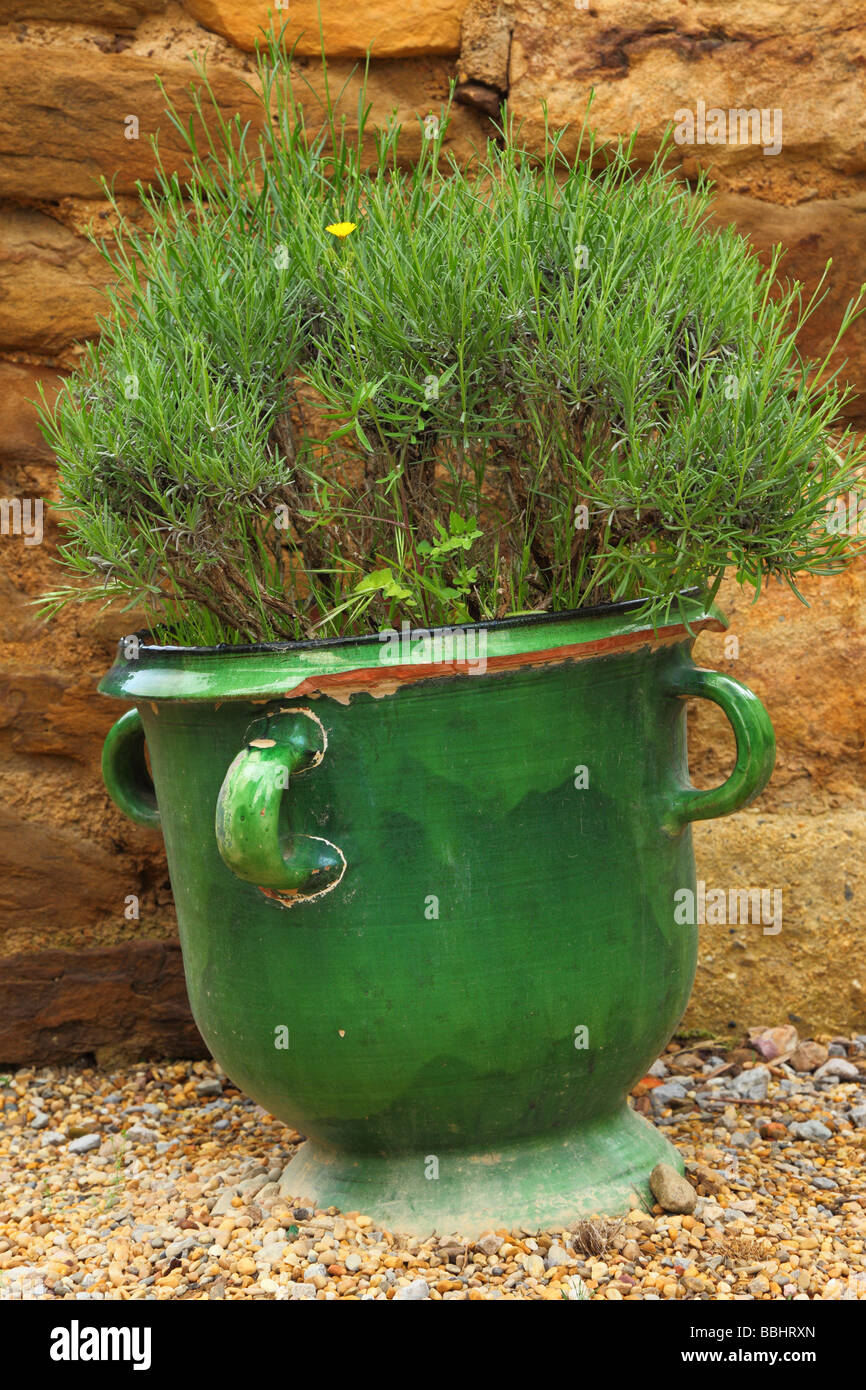 Flower pot Fontfroide Benedictine Abbey Languedoc-Roussillon France Stock Photo
