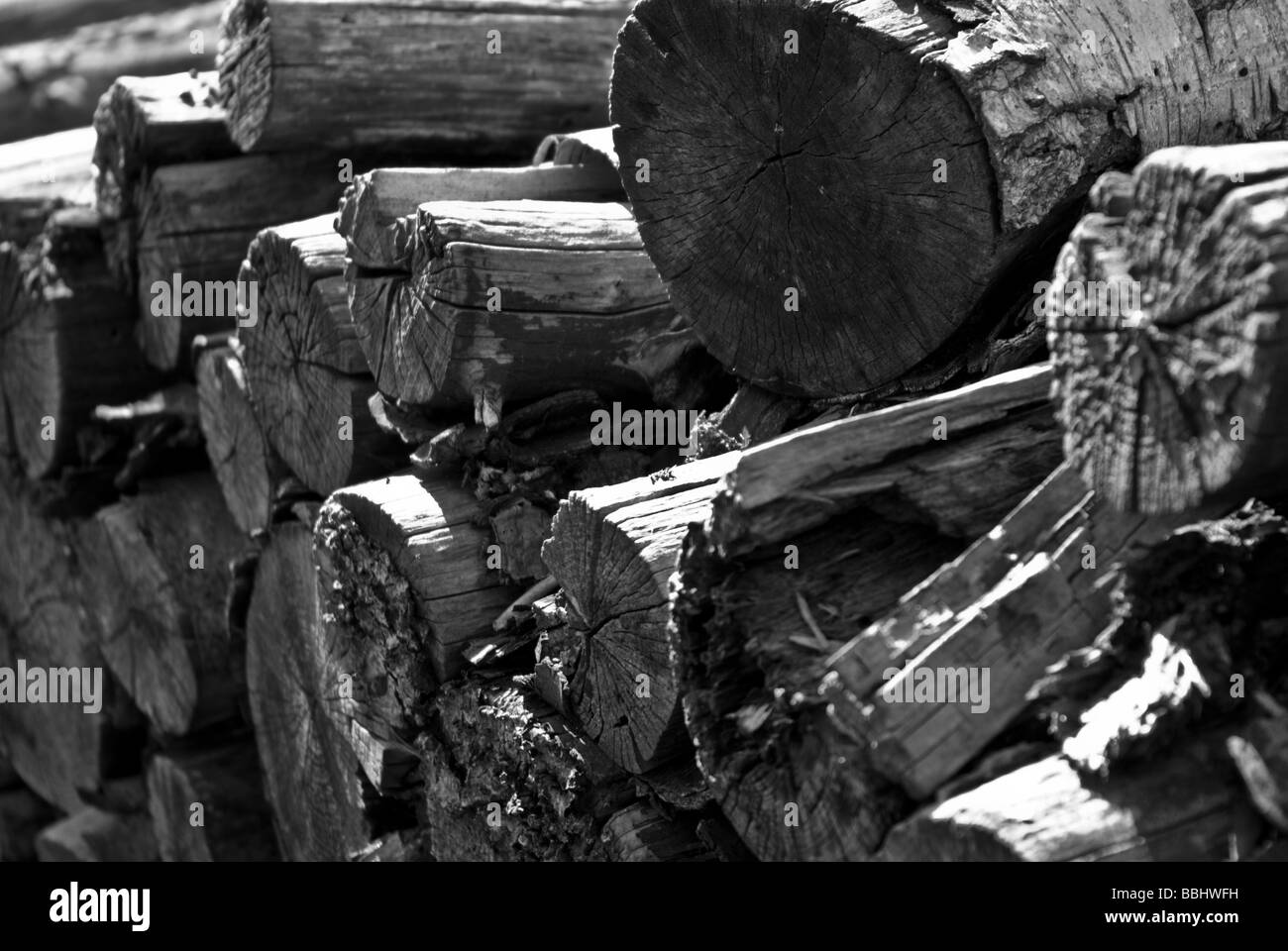 Piles of dry wood stored near the sawmill Stock Photo