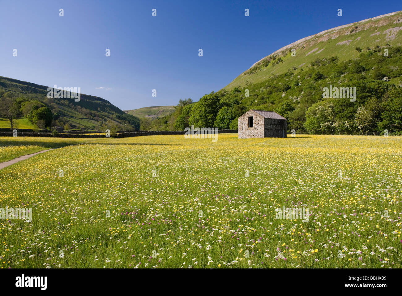 Stone Barns and Wildflower Meadows Near Muker Swaledale Yorkshire Dales National Park Stock Photo