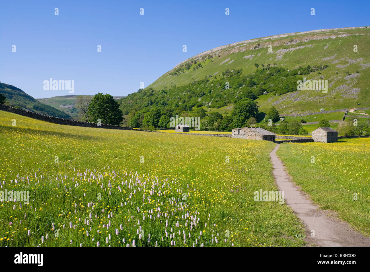 Stone Barns and Wildflower Meadows Near Muker Swaledale Yorkshire Dales National Park Stock Photo