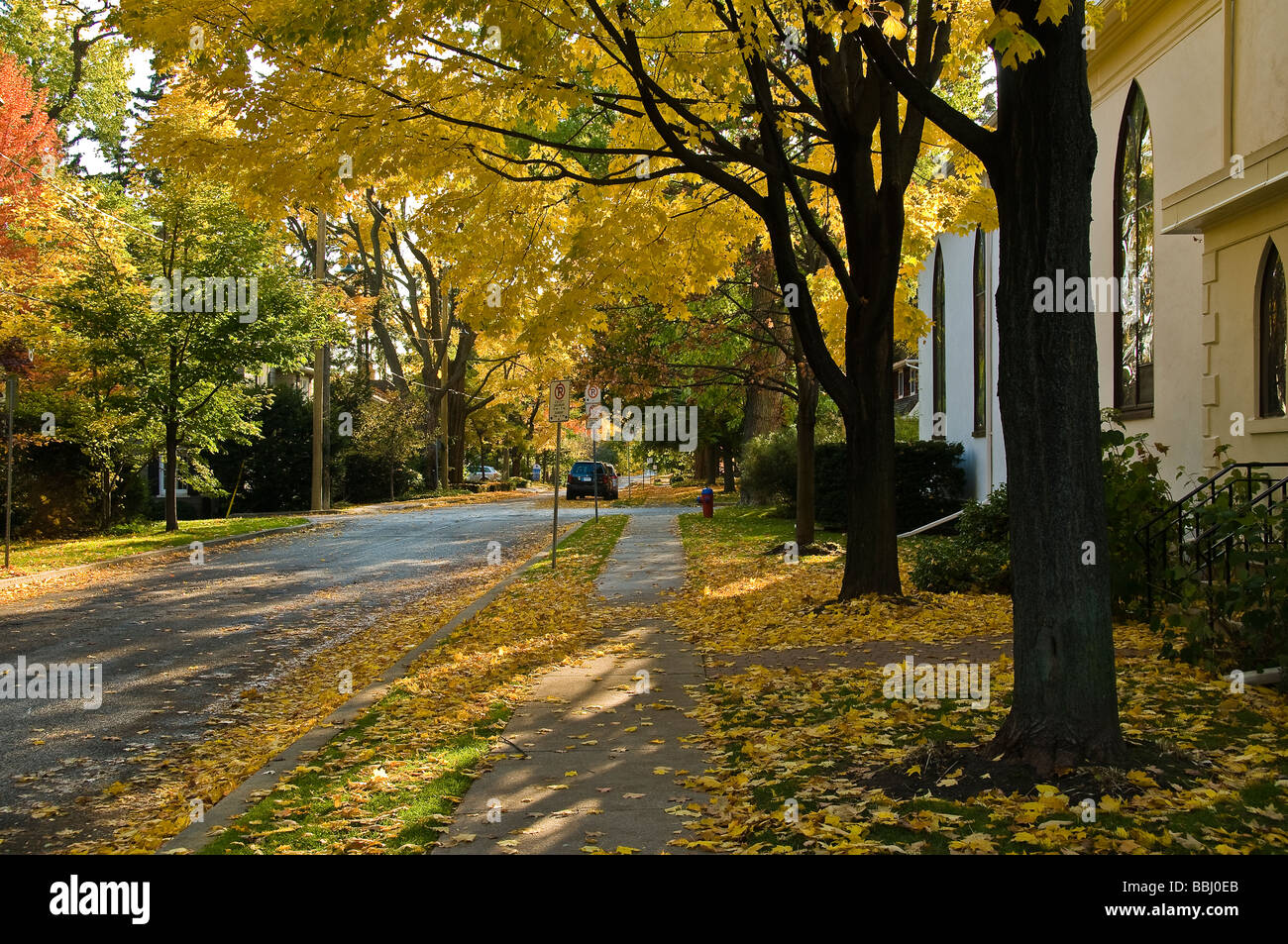 Fall color on a residential Street in Oakville Ontario Canada Stock Photo